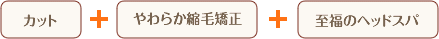 お手入れラクラク♪縮毛矯正コース